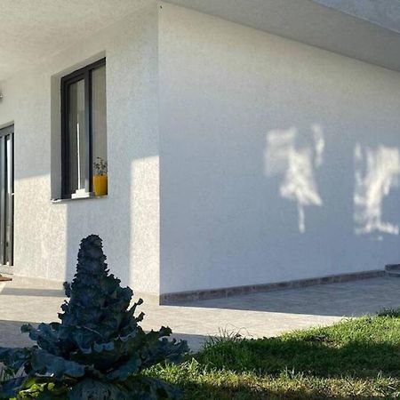 Lola Seaview Guest House. Уютный Домик В Варне Varna Luaran gambar