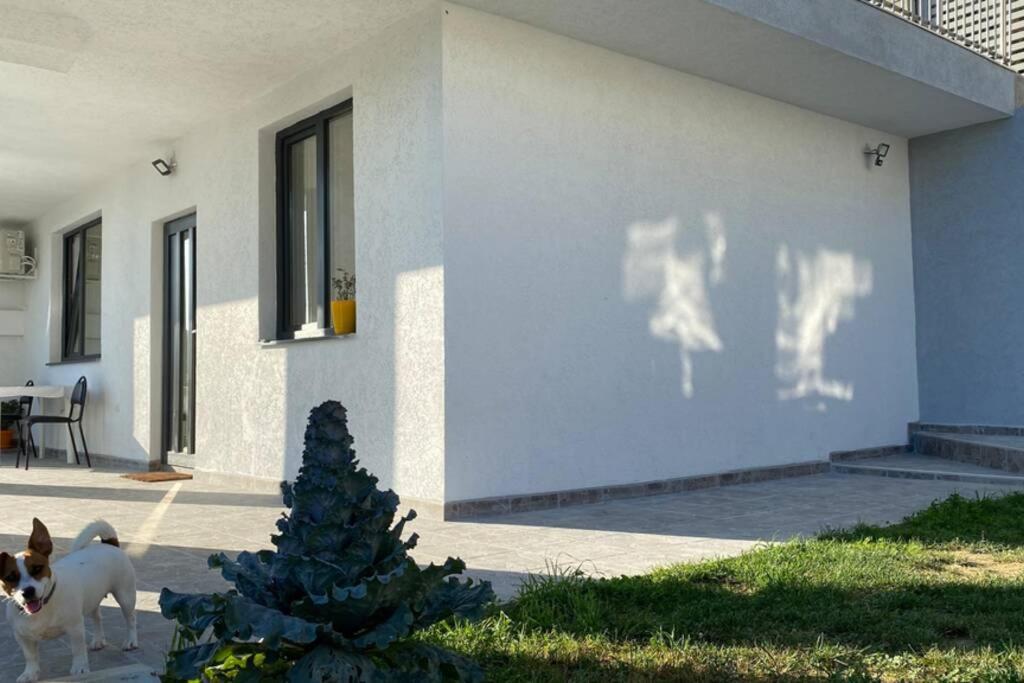 Lola Seaview Guest House. Уютный Домик В Варне Varna Luaran gambar